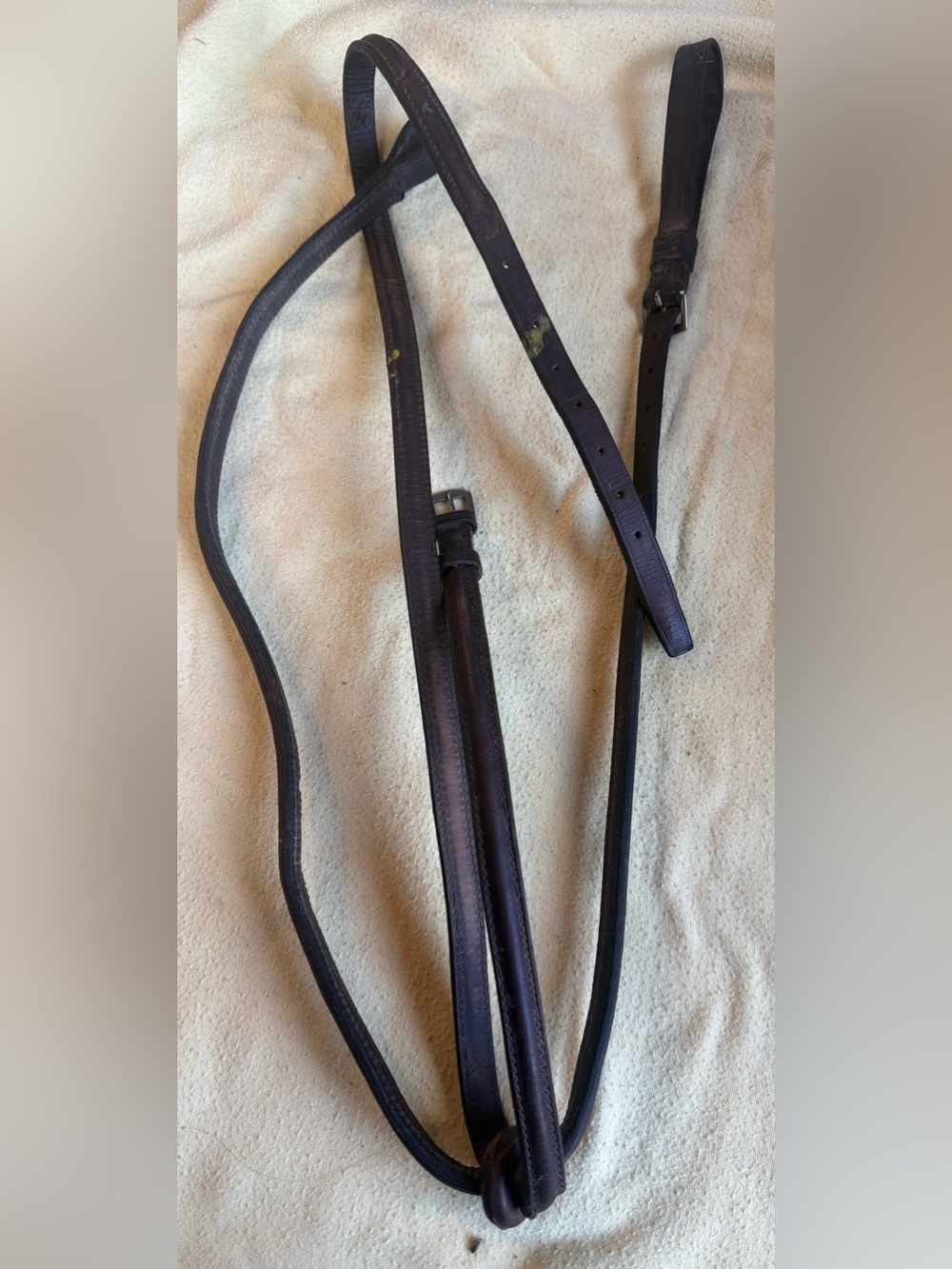 Oakbark pony standing martingale